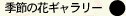 G߂̉ԃM[