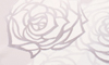 4@R቏iɂj߁`2013NmW