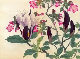 紫木蓮、海棠:矢代仁蔵書「四季の花」