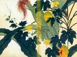 とうもろこし、れいし:矢代仁蔵書「四季の花」