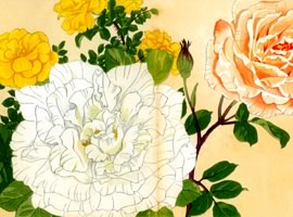 薔薇:矢代仁蔵書「西洋草花図」