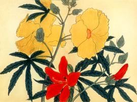 黄蜀葵、紅蜀葵:矢代仁蔵書「四季の花」