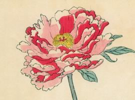 画像:矢代仁蔵書「千種之花」