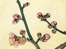 単辨紅梅:矢代仁蔵書「千種之花」